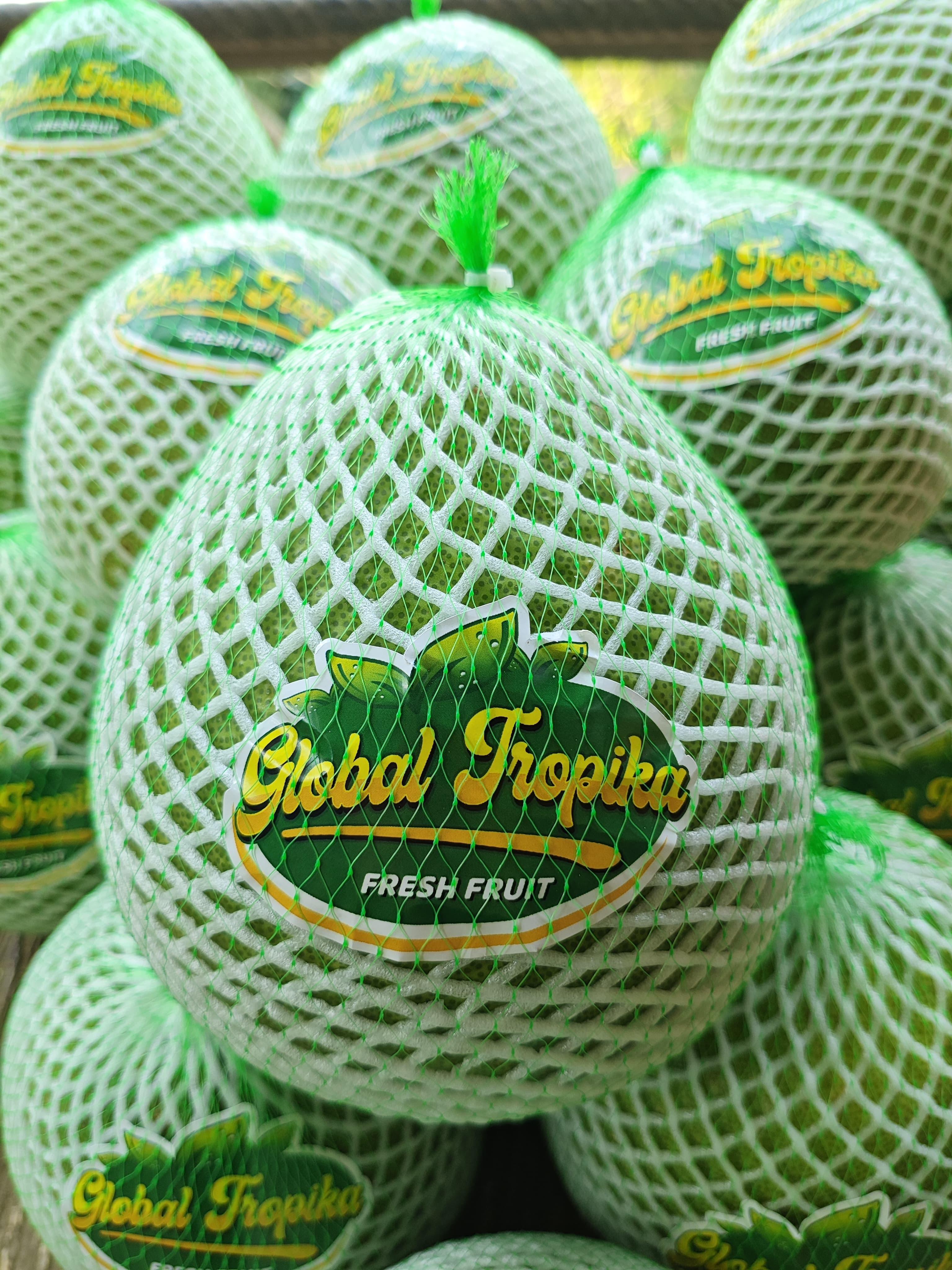 Global Supply of Exotic Indonesian Pomelo Nutritional Overview, Clinical Benefits, and Gressfresh Supply Chain Partnerships